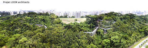 sustainable urban forest design forest