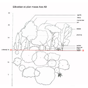 Design of areas to be planted with trees