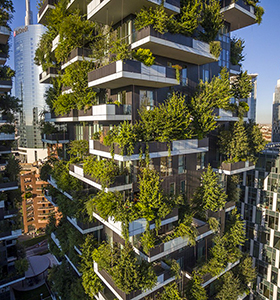 sustainable urban forest design forest