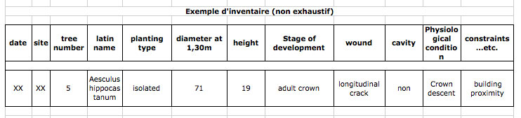 tree inventory