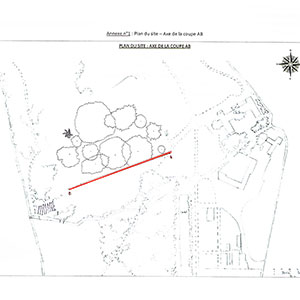 Design of areas to be planted with trees