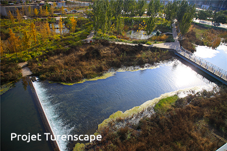 sustainable urban forest design forest