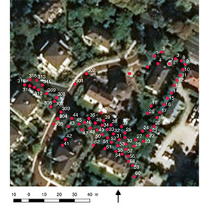 Mapping and database